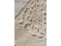 Alfombra de baño Set (2 piezas) Elite multicolor