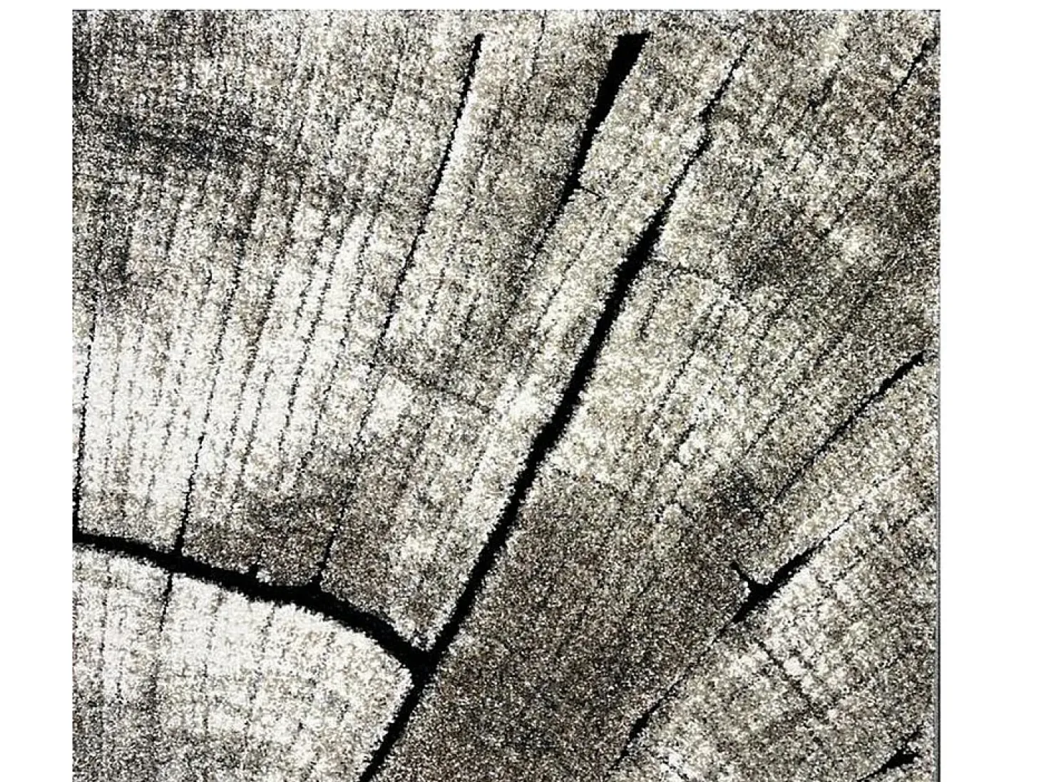 Alfombra Marla Diseño Moderno Árbol, Natural, 200x290 cm