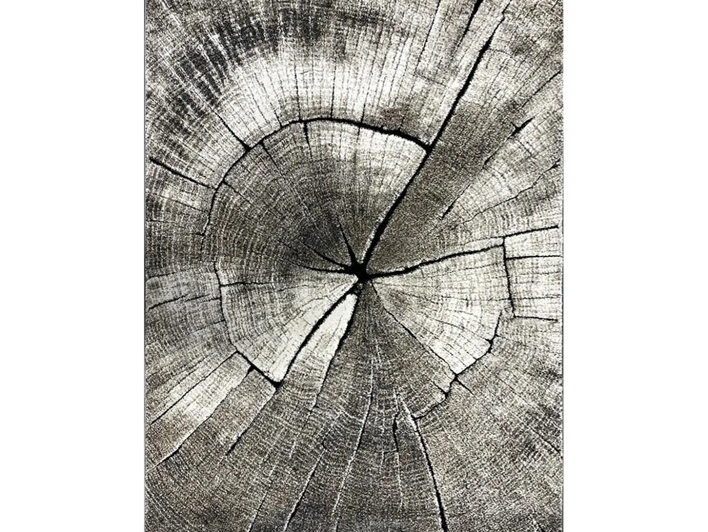 Alfombra Marla Diseño Moderno Árbol, Natural, 80x150 cm