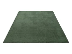 Alfombra Rio ala estar antideslizante arco, Bosque, 160 x 220 cm