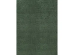 Alfombra Rio ala estar antideslizante arco, Bosque, 160 x 220 cm