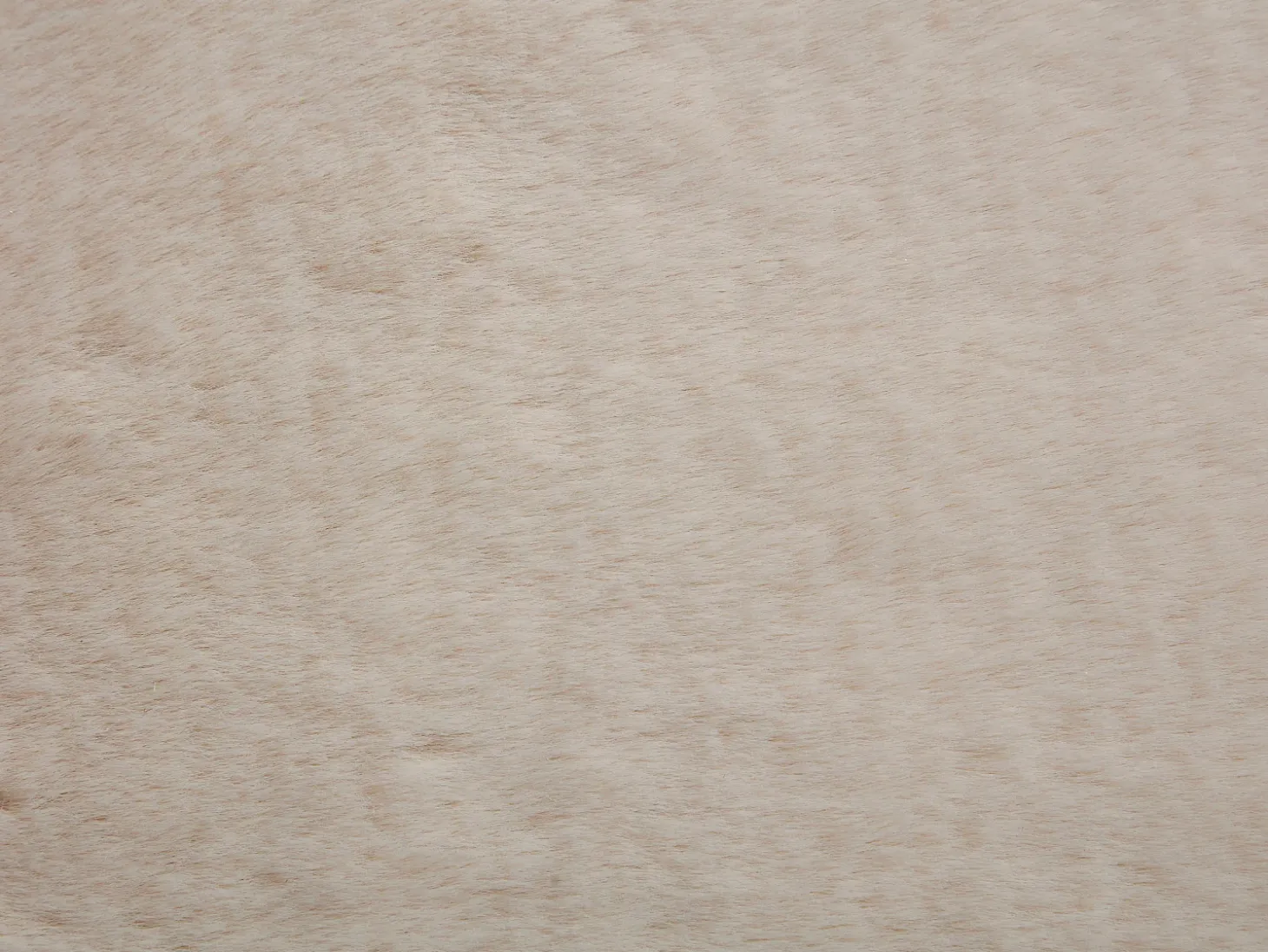 Alfombra shaggy de pelo largo efecto pelo, 200 x 290 cm, Beige, BUNNY