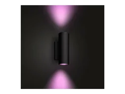 Aplique de Pared Exterior LED White Color 2x8W Hue Appear Negro