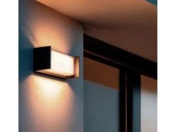 Aplique de Pared Exterior LED 12W Aluminio CCT Seleccionable Doble Difusor Arelien Iridix Antracita