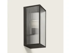 Aplique de Pared Exterior Metal y Cristal Big Taiga Negro