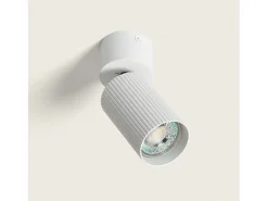 Aplique de Techo Aluminio Aritz 1 Foco Blanco