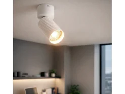 Aplique de Techo Aluminio Aritz 1 Foco Blanco