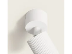 Aplique de Techo Aluminio Aritz 1 Foco Blanco