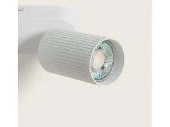 Aplique de Techo Aluminio Aritz 3 Foco Blanco