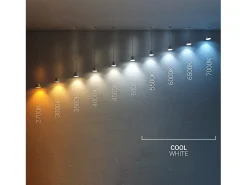 Aplique LED 25W Oval IP65 Black 6500K Blanco Frío