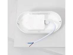 Aplique LED 25W Oval IP65 White 6500K Blanco Frío