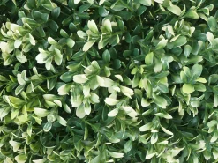 Arbusto artificial MCW-L77, blanco
