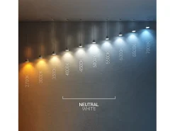 Baliza Exterior LED Empotrable Suelo 4L 24V DC Loto Gris 4000K Blanco Neutro
