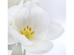 Biombo fotográfico Bagheria, 180 x 120 cm, Orquídea
