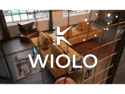 Cojines respaldo - Gris terciopelo - WIOLO