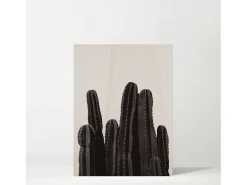 Cuadro de madera Cactus