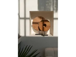 El Gran Disco De Teca En Soporte