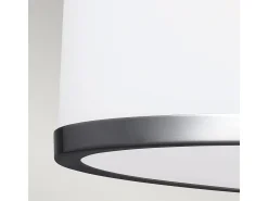 Elstead Prospect Park 2 Ljus Semi Flush Taklampa Krom, Satin Nickel, E27