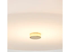 Elstead Tamar 1 Light Medium Flush Light - Polerat guld