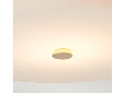Elstead Tamar 1 Ljus Large Flush Light - Polerat guld