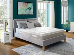 Espejo DARCY - madera de eucalipto - 50 x 170 cm - Plateado