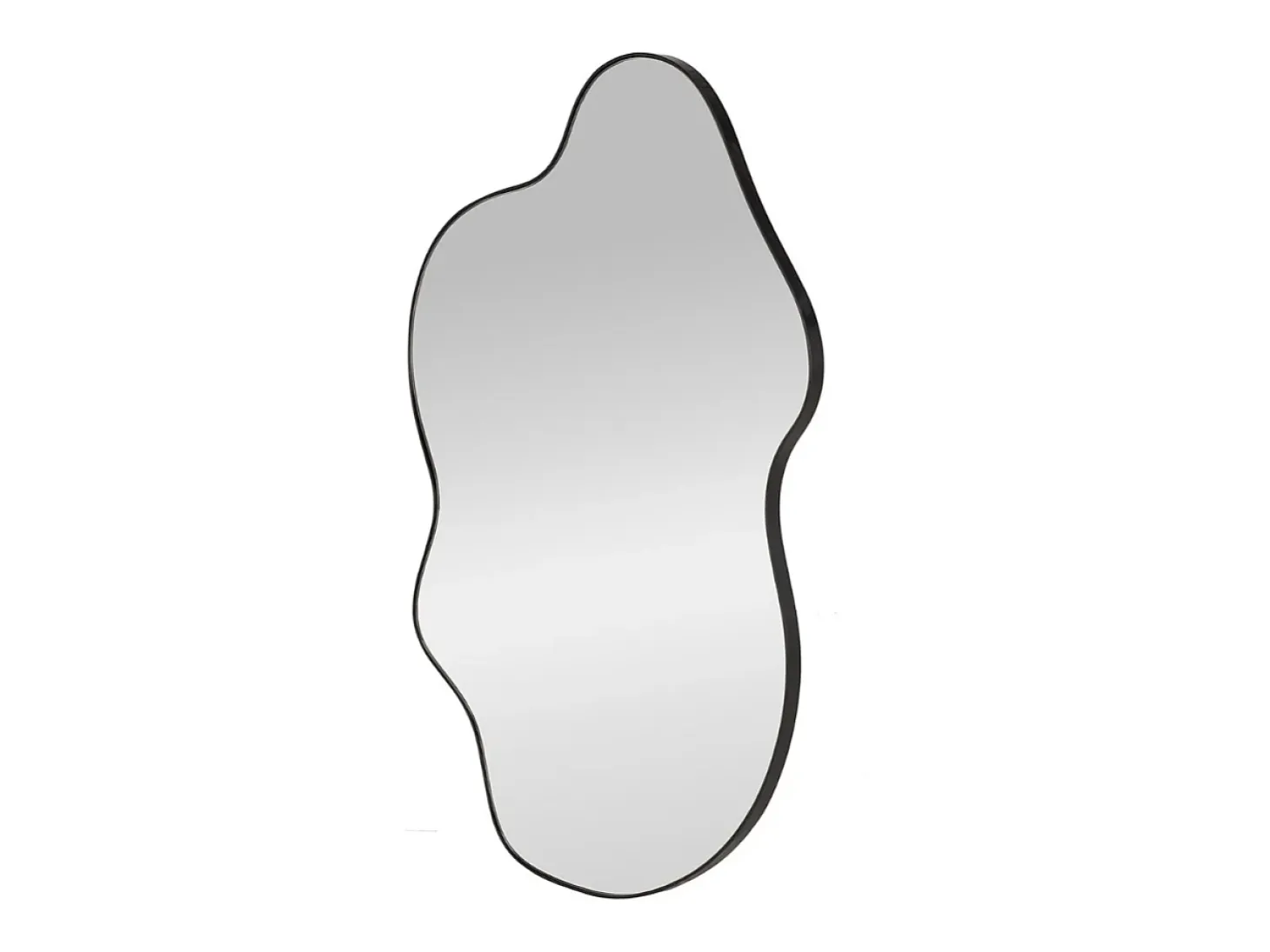 Espejo de pared de aluminio cepillado negro de 56 x 90 cm Ely