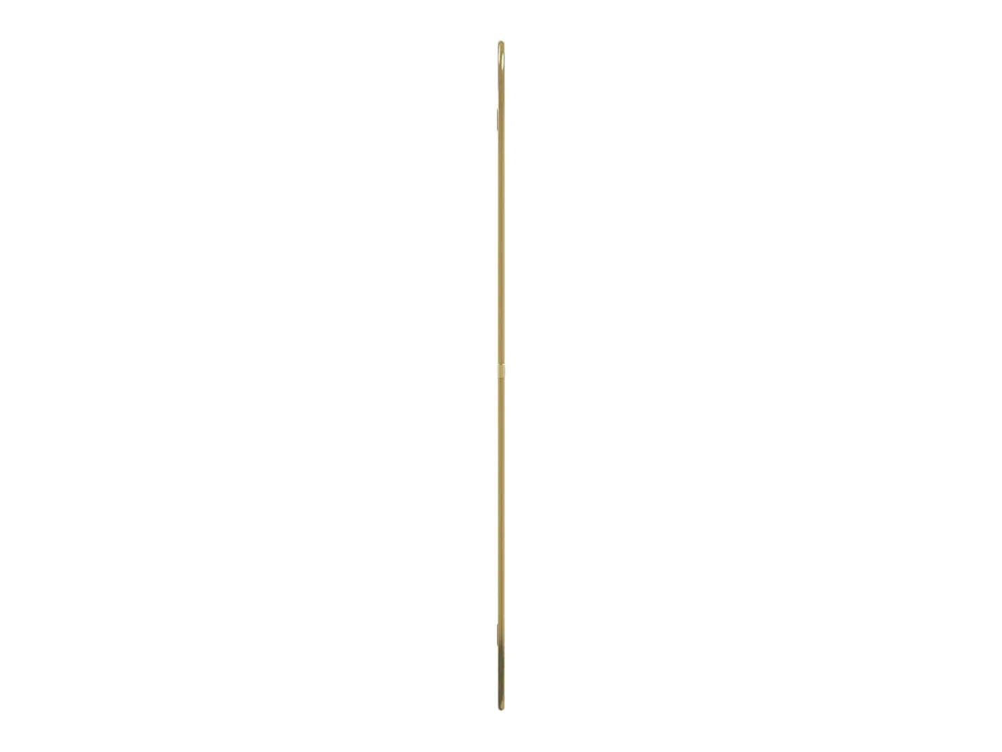 Espejo de pared dorado 80x50 cm ES480438