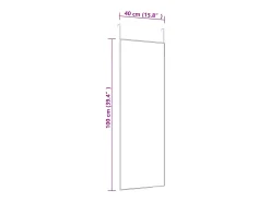 Espejo de puerta dorado 40x100 cm Cristal y aluminio