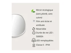 Espejo LED orgánico D60/80cm en vidrio plateado FLUEA