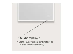 Espejo LED rectangular L60/80cm de vidrio plateado ECLIPS