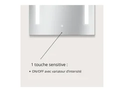Espejo LED rectangular L60/80cm de vidrio plateado LUMENA