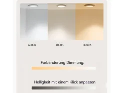 Espejo LED redondo de 70 cm con función antivaho y 3 configuraciones de temperatura - Vidrio y metal plateado