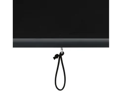 Estor enrollable de exterior 140 x 250 cm Antracita