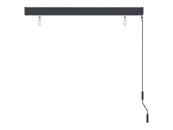 Estor enrollable de exterior 140 x 250 cm Antracita