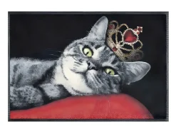 Felpudo 50x75 tejido estampado animal ROYAL CAT rojo