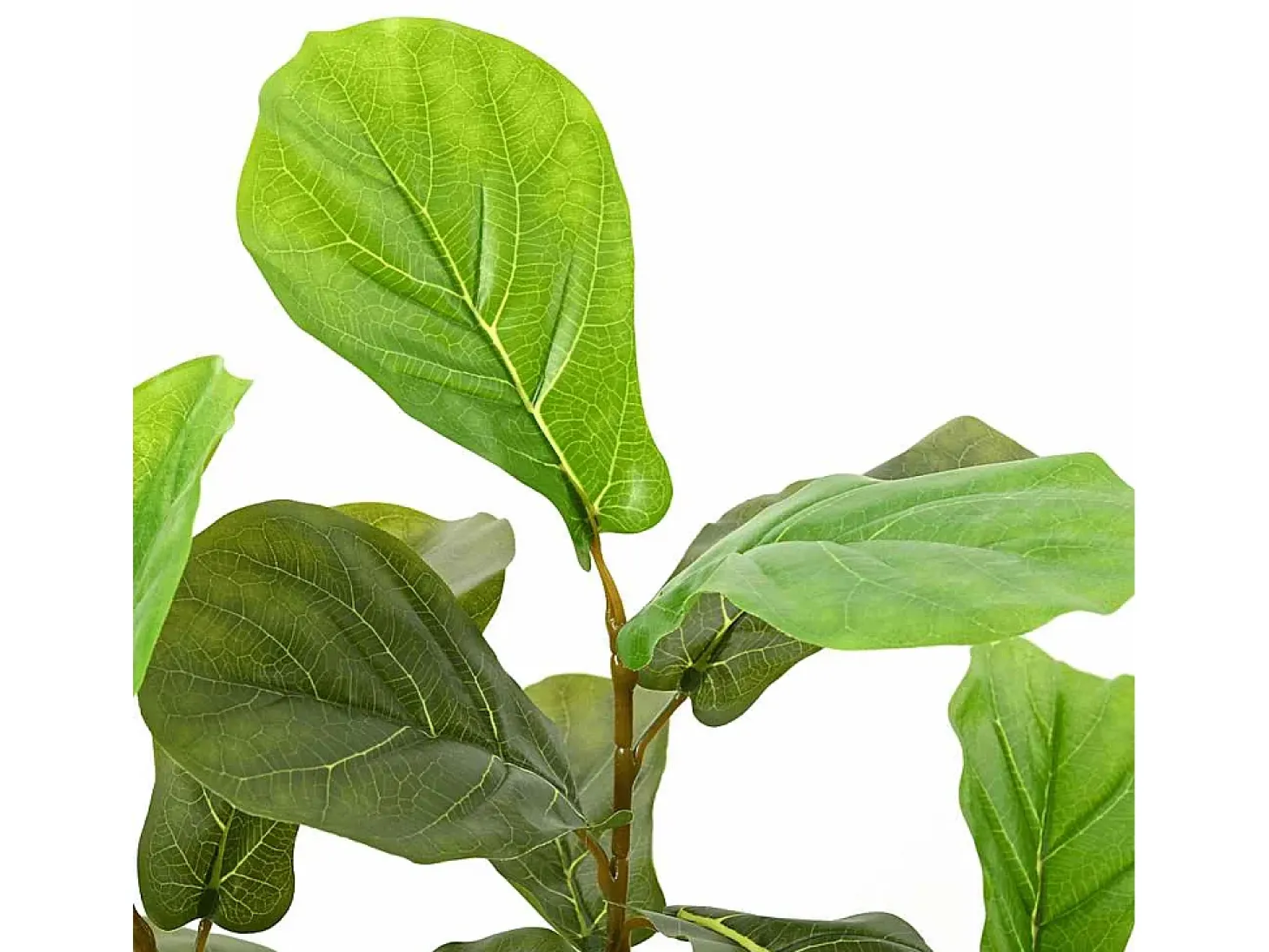 Ficus artificial 48 hojas 165 cm verde
