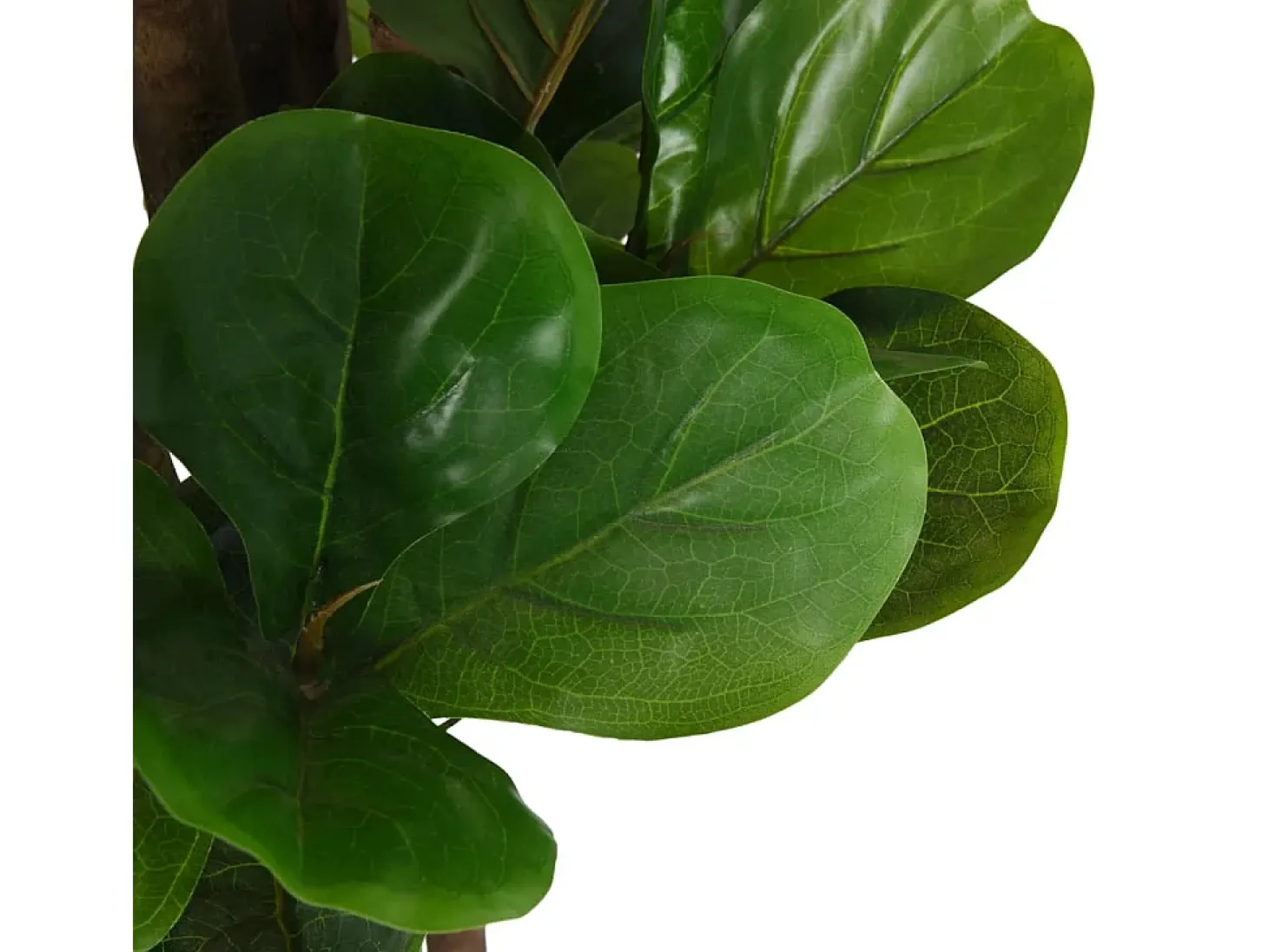 Ficus lyrata artificial 232 hojas 180 cm verde