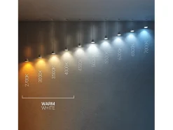 Foco Downlight LED 12W COB Direccionable Circular Plata Corte Ø 90 mm No Flicker 3000K Blanco Cálido