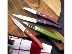 Forest - Juego de 4 cuchillo Essentiel 