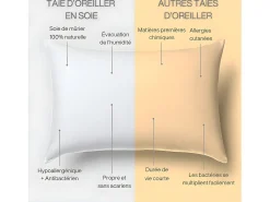 Funda de Almohada en Pura Seda de Morera 65x65 INPHYSIO