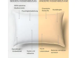 Funda de Almohada en Pura Seda de Morera 65x65 INPHYSIO