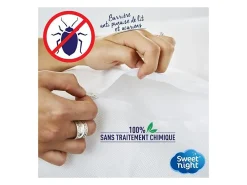 Funda integral anti chinches y anti ácaros para almohada - Blanco 65 x 65 cm