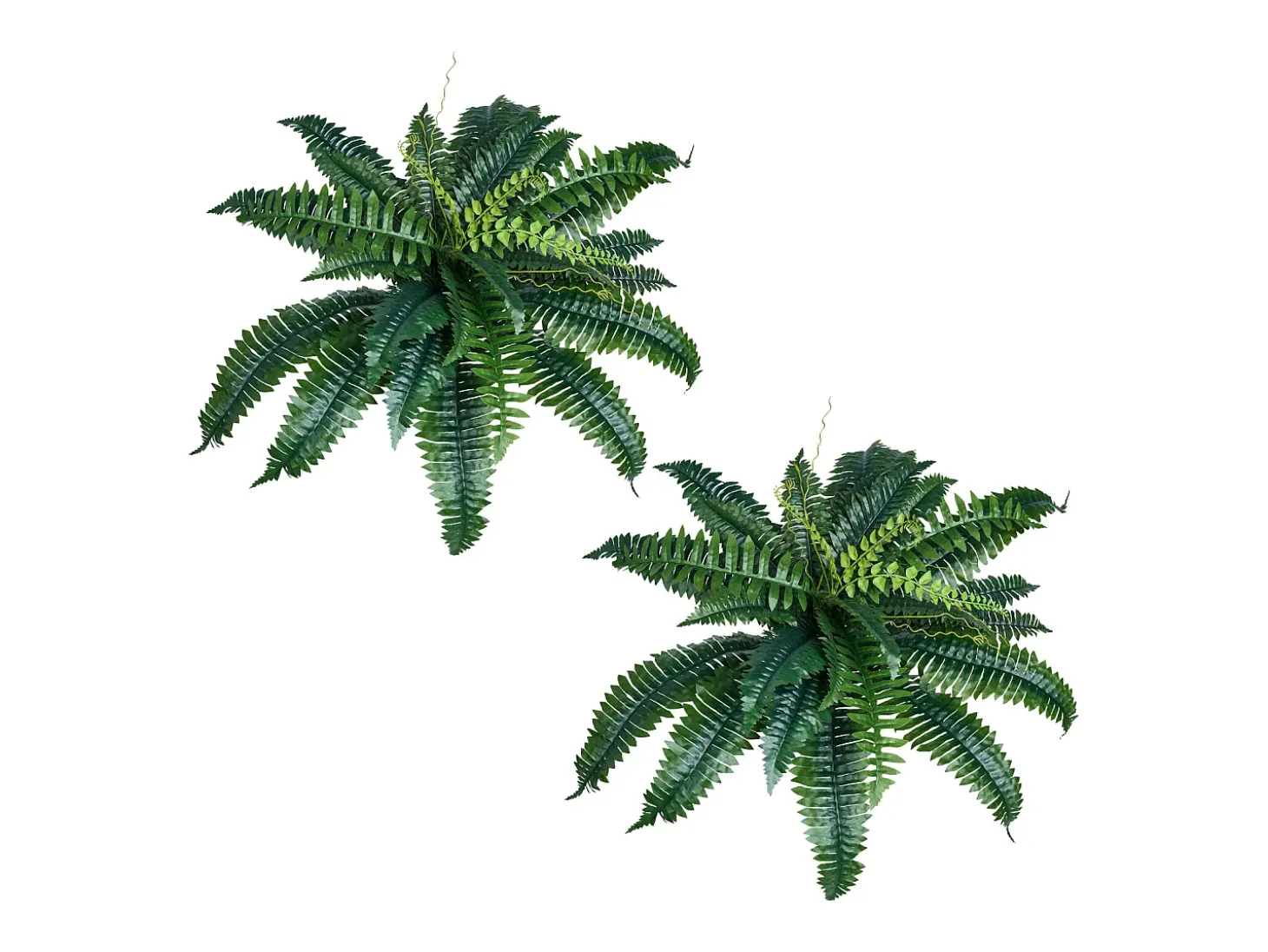 Helecho Artificial SucceBuy, Pack de 2, Helecho Falso de Boston 80-86 cm, 30 Hojas, Colgante, Decoración Interior/Exterior, Hogar/Oficina, Maceta No Incluida