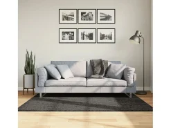 High Point Alfombra pelo largo aspecto brillante ISTAN antracita 120x170cm