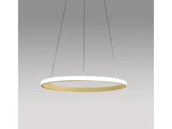 Iole S1 Lámpara colgante LED 28W regulable - Lámpara de araña con aro moderno en oro cepillado, luz cálida 3000K, IP20