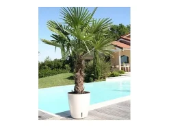 Jardinera redonda para flores - Plástico Ø 31 cm - Azul