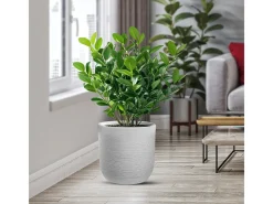 Jarrón cilíndrico de resina Raffaello Bianco de 35x34 cm para plantas de interior y exterior