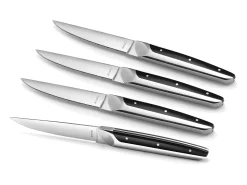 Juego de 4 cuchillos de carne Emperor Amefa - Estilo de alta gama, hoja dentada, mango bimaterial ABS y acero inoxidable