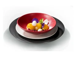 Juego de 6 Platos de Postre Stone Rojo 20 cm - Colección Médard de Noblat