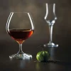 Juego de 6 Vasos de Cognac 70cl Colección Spirits Chef&Sommelier